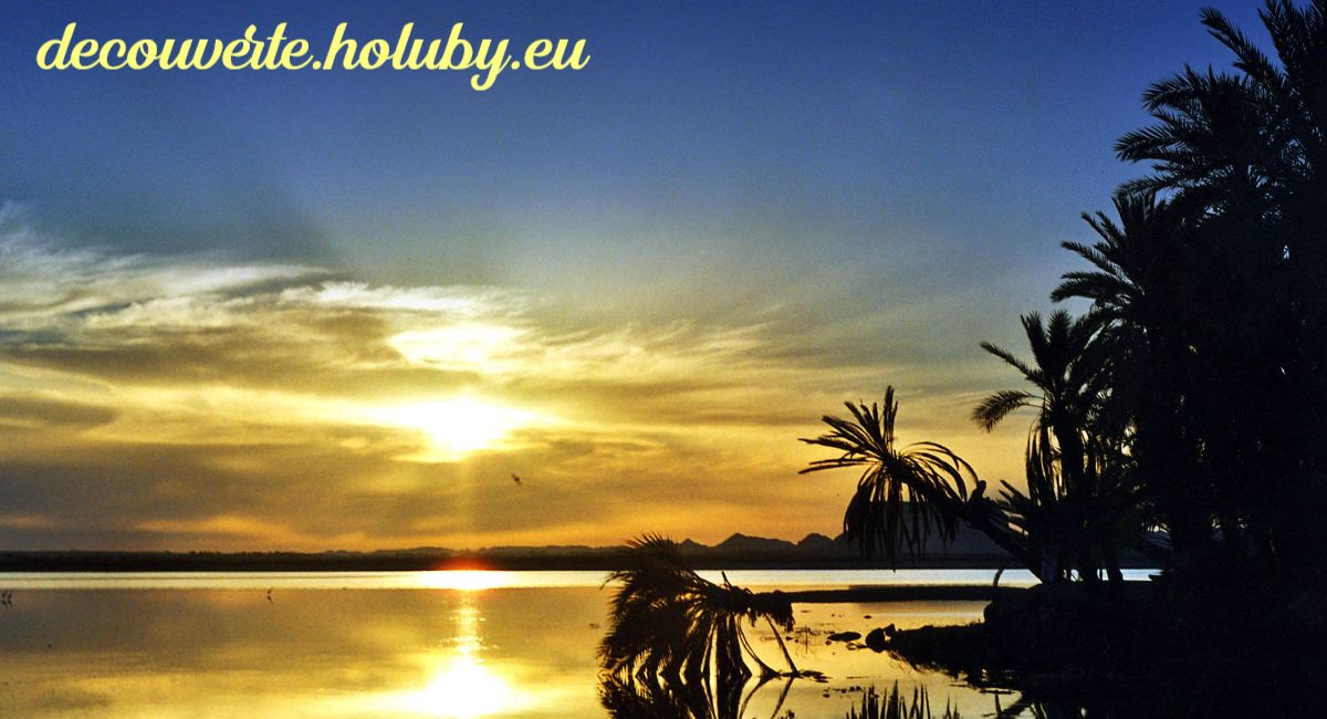 decouverte.holuby.eu